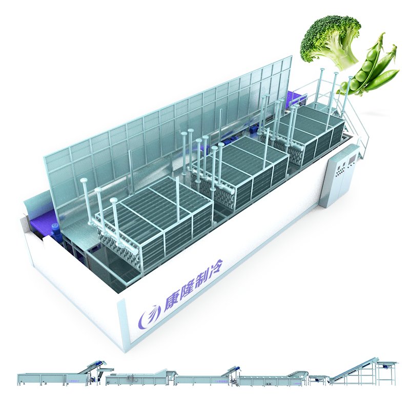 Frozen Vegetable Processing Line line overview