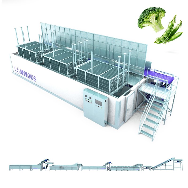 Frozen Vegetable Processing Line equipment arrangement