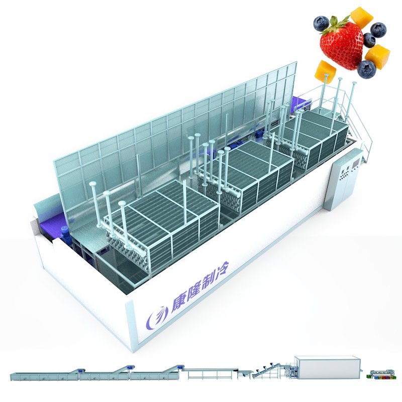 Fruit Processing Production Line line overview
