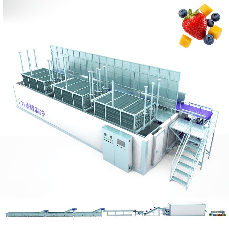Fruit Processing Production Line equipment arrangement