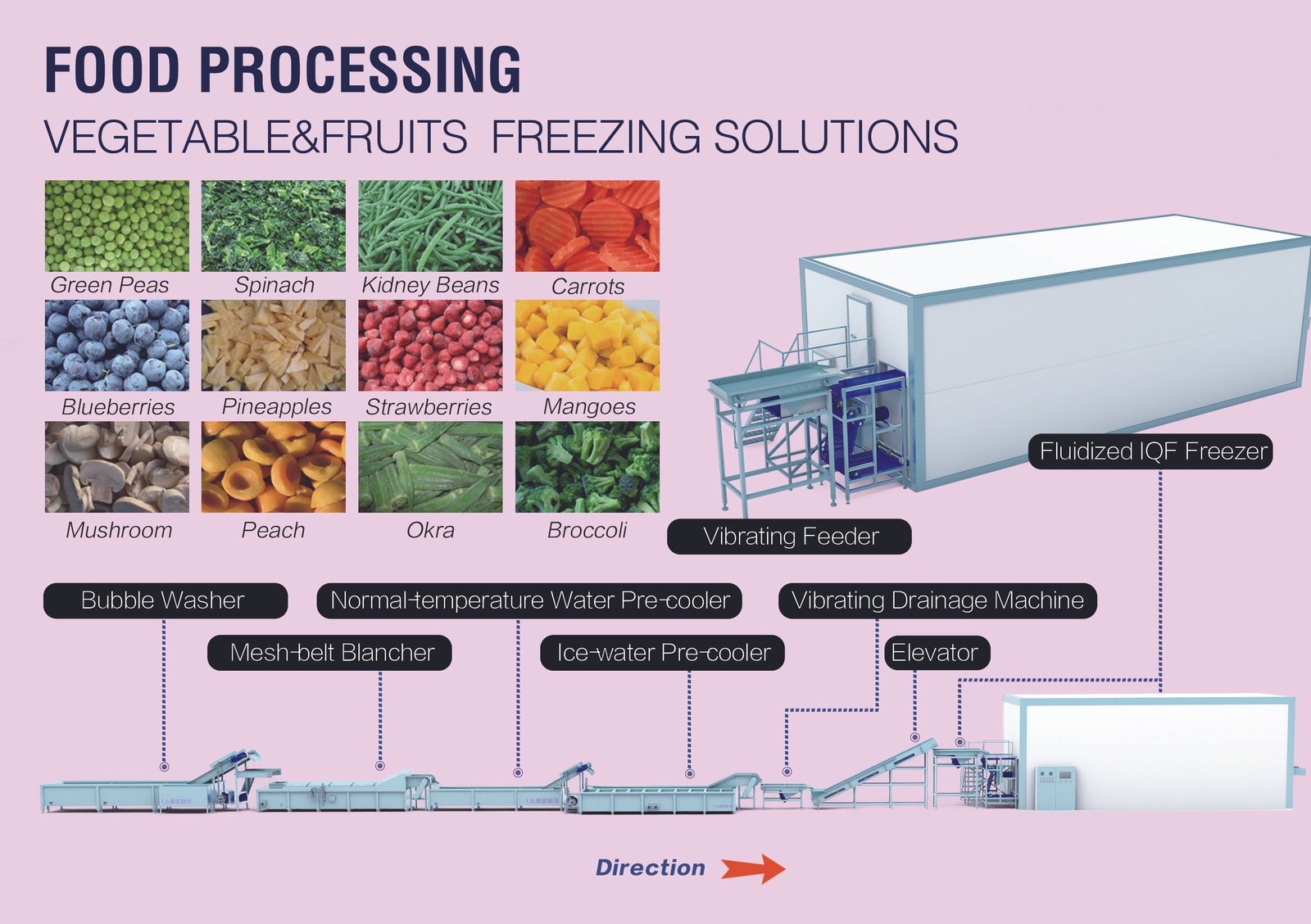 Fruit Processing Production Line project reference