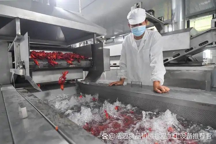 Shrimp Processing Line layout reference