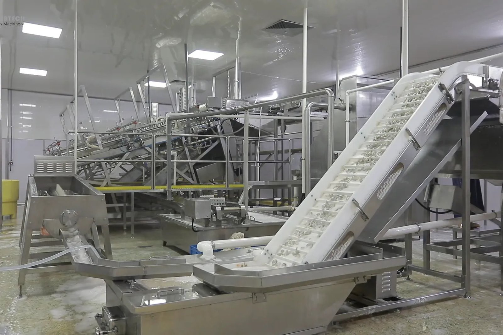 Shrimp Processing Line project reference